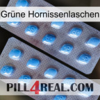 Grüne Hornissenlaschen viagra4